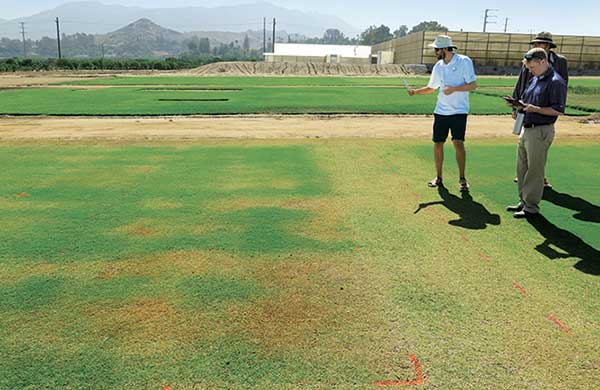 to conserve water on golf course fairways. (Photo: Mike Kenna)