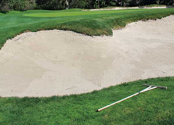 Bunker rake (Photo: Golfdom Staff)