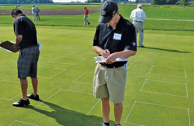 Here, researchers rate the plots for visible damage. (Photo: Doug Karcher, Ph.D.)