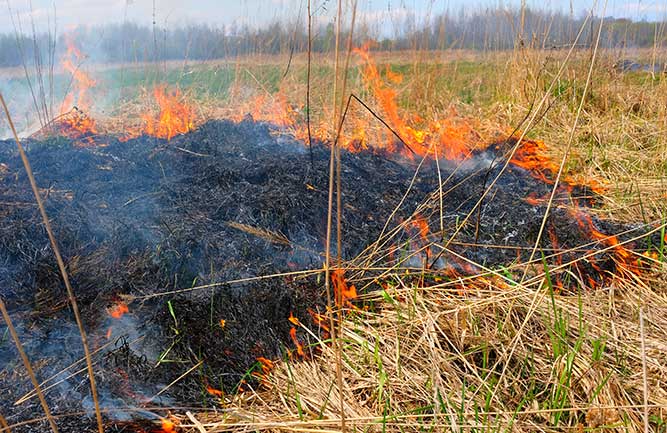 Turf burning (Photo: Gogiya/iStock/Getty Images Plus)