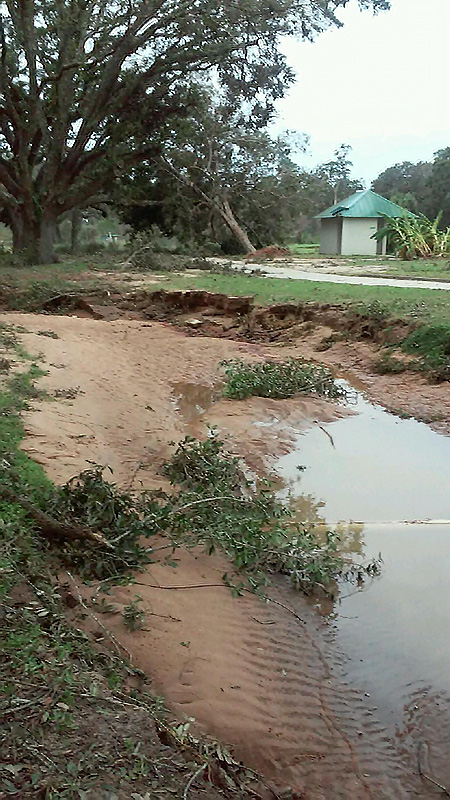 Hurricane Sally hit Pensacola, Fla., exactly 16 years to the date after Hurricane Ivan. Eddie Daigle, superintendent of Osceola Municipal Golf Course in Pensacola, Fla., says this time around, the golf course did not suffer as much damage. (Photo: Edward Daigle)