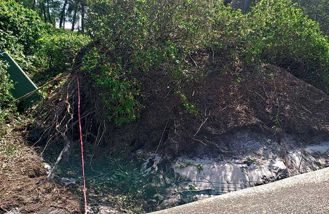 Damage from Hurricane Sally (Photo: Jamey Davis, Peninsula GC)