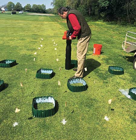 Vacuuming ABW adults with leaf blower (Photo: Albrecht Koppenhofer)