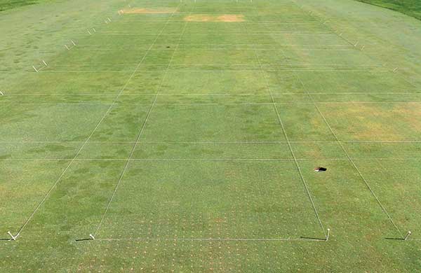 <strong>Photo 3</strong> Study area being prepared for an application on Sept. 23, 2014. Three injured plots are evident from a late August application of Bensumec followed by early September Velocity applications. The treatment was discontinued shortly thereafter. (Photo: Daniel Weisenberger)