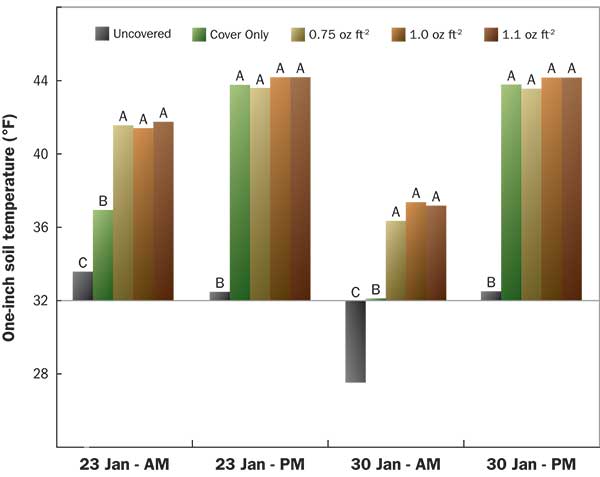 Effect of protective covers and various weights of batting fabric on the morning and afternoon soil temperature of an ultradwarf bermudagrass green on two dates in 2019. Different letters within each bar grouping indicate a significant difference.