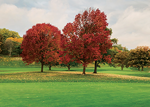 Maxtima and Navicon Intrinsic fungicides allow superintendents to stretch application windows, increasing efficiency. (Photo: Jim Kerns)