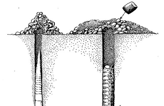 Burrows and castings of earthworm (a) and Southern Green June Beetle (b). Note the difference in the size of the burrows and the form of the castings (from The USGA Bulletin of the Green Section, April 22, 1921). (Photo: USGA Green Section)