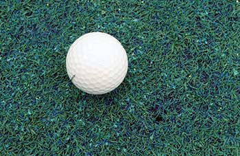 Golf ball on green with Poa annua seedheads (Photo courtesy of Elliot Dowling)