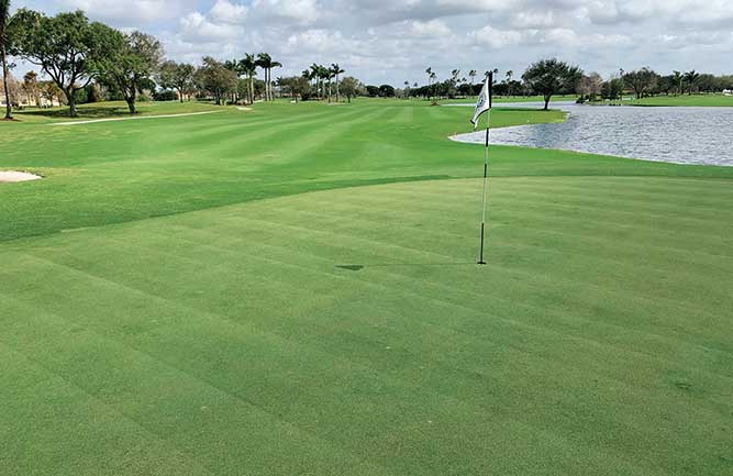 Thatch can be controlled by implementing practices such as topdressing, aerification and verticutting. (Photo: Bob Harper)