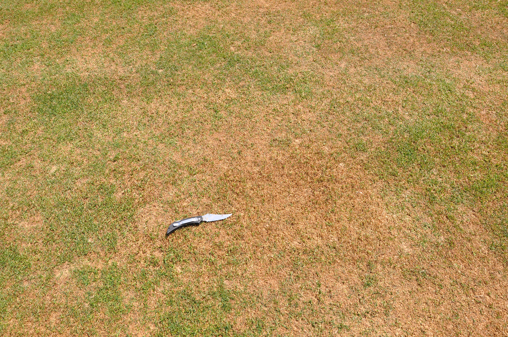 ABW damage at Willowbrook CC in Apollo, Penn. (Photo: Ben McGraw, Ph.D.)