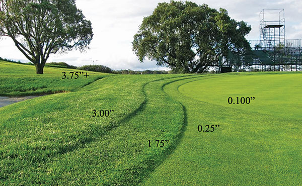 In 2008, the USGA had four heights of cut of rough. The 2021 rough will be less complex. (Photo courtesy of Mark Woodward)