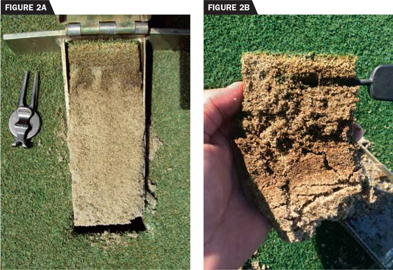 On the left, these creeping bentgrass greens were core aerated twice annually but received relatively infrequent topdressing. Organic matter accumulation caused soft conditions and localized dry spot. On the right, two growing seasons after initiating a topdressing program that applied no less than 30 cubic feet of sand per 1,000 square foot annually, organic matter has decreased by 30 percent, and surface performance has improved significantly. (photos by: Brian Whitlark, USGA Green Section)