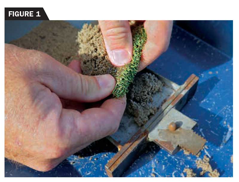 Visible water squeezed from a putting green’s surface layer is a good indication that more sand is required to dilute thatch and organic matter. (photo by: Brian Whitlark, USGA Green Section)