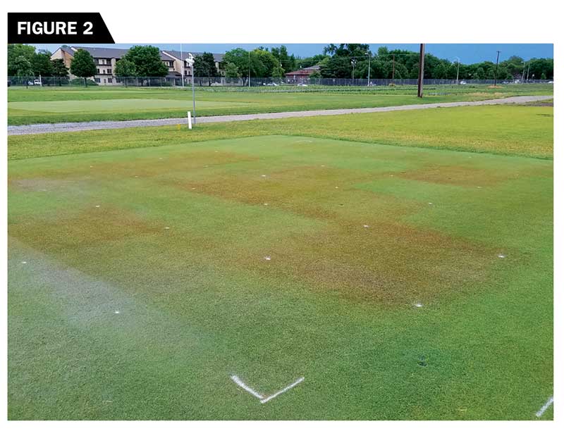 The impact of different PGR reapplication models on the turfgrass quality of a creeping bentgrass fairway mowed at 0.4 inch. (Photo by: William Kreuser, Ph.D.)