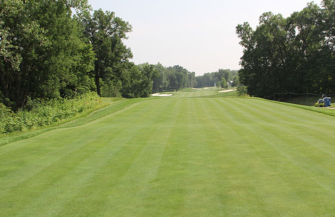 A shot of TPC John Deere from the 2019 John Deere Classic (Photo: Golfdom Staff)