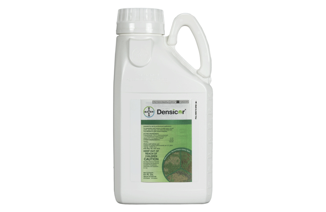 Desicor, a new fungicide is used to fight five turf diseases: dollar spot, brown patch, anthracnose, gray leaf spot, and snow mold. (Photo courtesy of Bayer.)