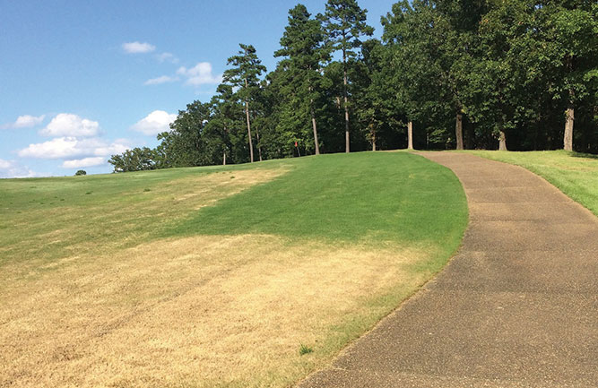 Vaaler Creek Golf Club has lost a lot of turf due to fall armyworm infestations. (Photo: Vaaler Creek GC)