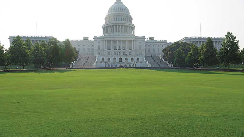 Eventually, the main lawn of Capitol Hill will include a mix of bluegrass and bermudagrass. (Photo: USGA)