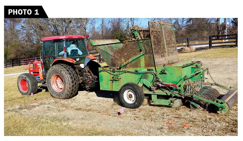 Latitude 36 sprigs were row-planted in January 2018 at the Virginia Tech Turfgrass Research Center in Blacksburg, Va. (Photo by: Mike Goatley, Ph.D.)