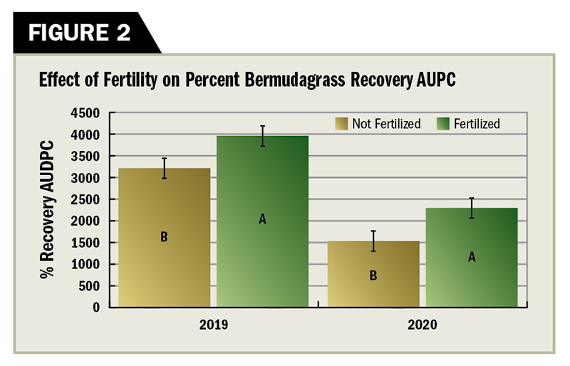 Main effect of fertility on bermudagrass recovery area under the progress curve (AUPC). Means are compared within years and colored bars represent different fertility practices. Bars within the same year with distinct letters are significantly different (P = 0.05). (Graphic: Golfdom Staff)