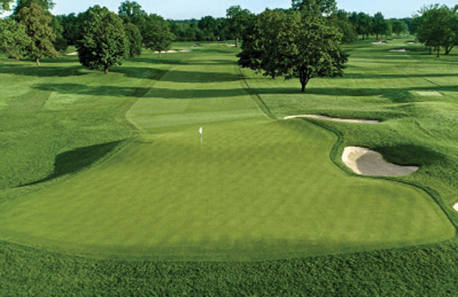 Green surrounds require a different management program than other areas of the rough because of the architectural features and heavy traffic in these areas.