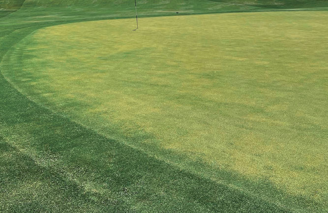 (Photo: Brain Whitlark, GCSAA)