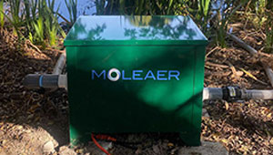 Photo: Moleaer