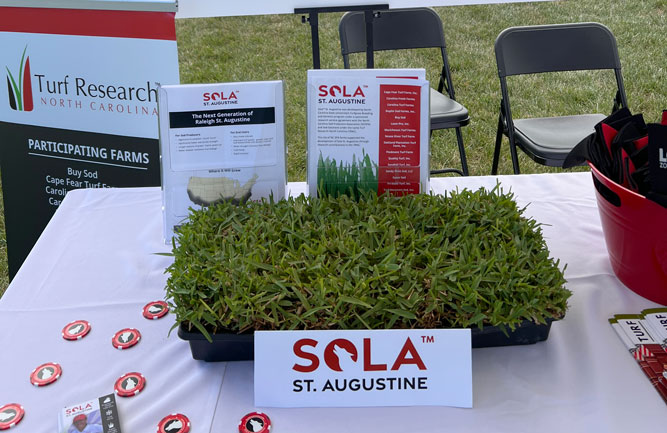 Photo: Sod Solutions