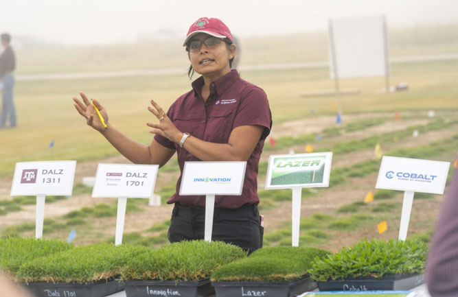 Ambika Chandra, Ph.D., Texas A&M AgriLife Research professor and turfgrass breeding program lead in Dallas, provided an update on work being done at the urban research center. (Photo: Michael Miller)