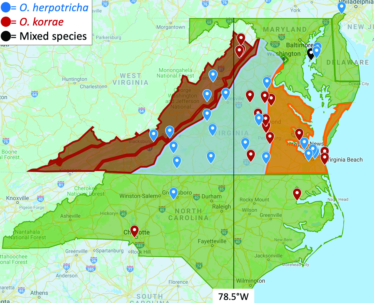 Figure 1. Ophiosphaerella spp. distribution in the mid-Atlantic. Species were determined using real-time PCR, and regions are color-coded: Red=VA Mountains; Blue=VA Piedmont; Orange=VA Coastal Plain; Green=DE, MD, and NC.