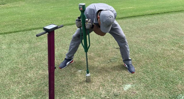 Scientists from the University of Florida are researching cost-effective control techniques for nematodes and fungal diseases. (Photo courtesy Marco Schiavon)