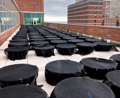 Randomized array of mesocosms to examine the influence of azoxystrobin, nitrogen and phosphorus on pond biotic communities. (Photo: Joseph Milanovich, Ph.D.)