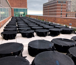 Randomized array of mesocosms to examine the influence of azoxystrobin, nitrogen and phosphorus on pond biotic communities. (Photo: Joseph Milanovich, Ph.D.)