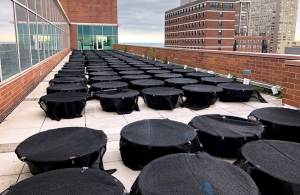 Randomized array of mesocosms to examine the influence of azoxystrobin, nitrogen and phosphorus on pond biotic communities. (Photo: Joseph Milanovich, Ph.D.)