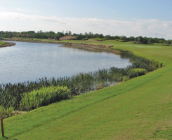 Vegetated littoral zones improve water quality and be attractive features. (Photo: Todd Lowe)