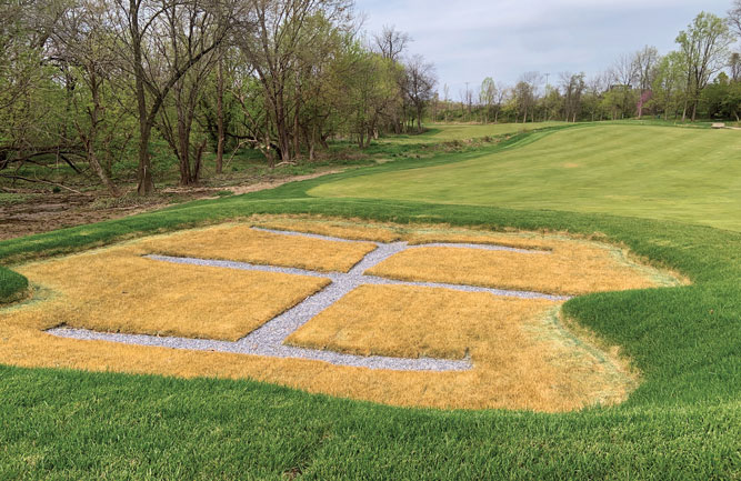 A post-herbicide treatment of a sod bunker liner during the installation process. Sod knits in before crews apply the herbicide treatment. (Photo: Tyler Rae)