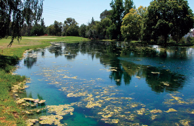 Feed carefully. Experts say superintendents should avoid applying fertilizer on turf near ponds and lakes to avoid algae buildup. (Photo: Ewing Irrigation & Landscape Supply)