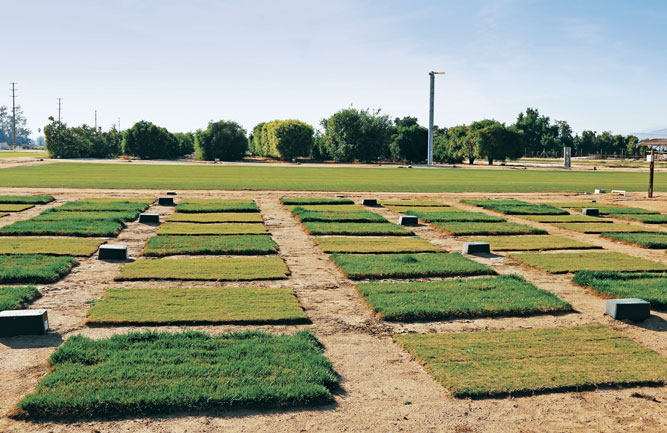 Turfgrass research is a crucial component to continued improvement of water conservation by golf course superintendents. (Photo: USGA)