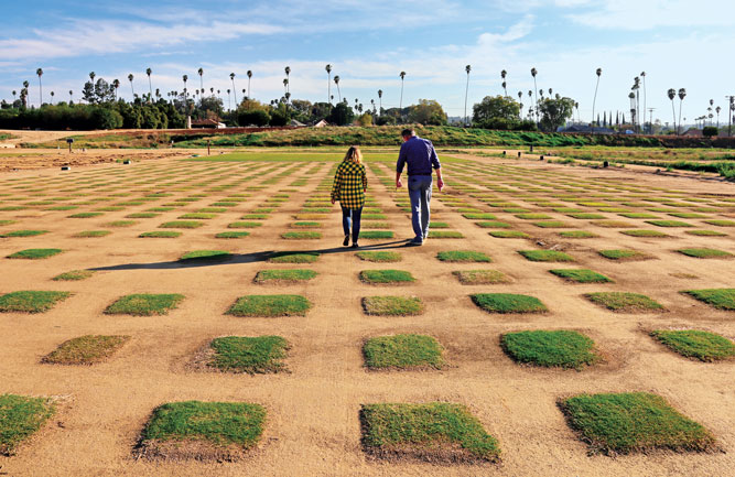 Turfgrass research is a crucial component to continued improvement of water conservation by golf course superintendents. (Photo: USGA)