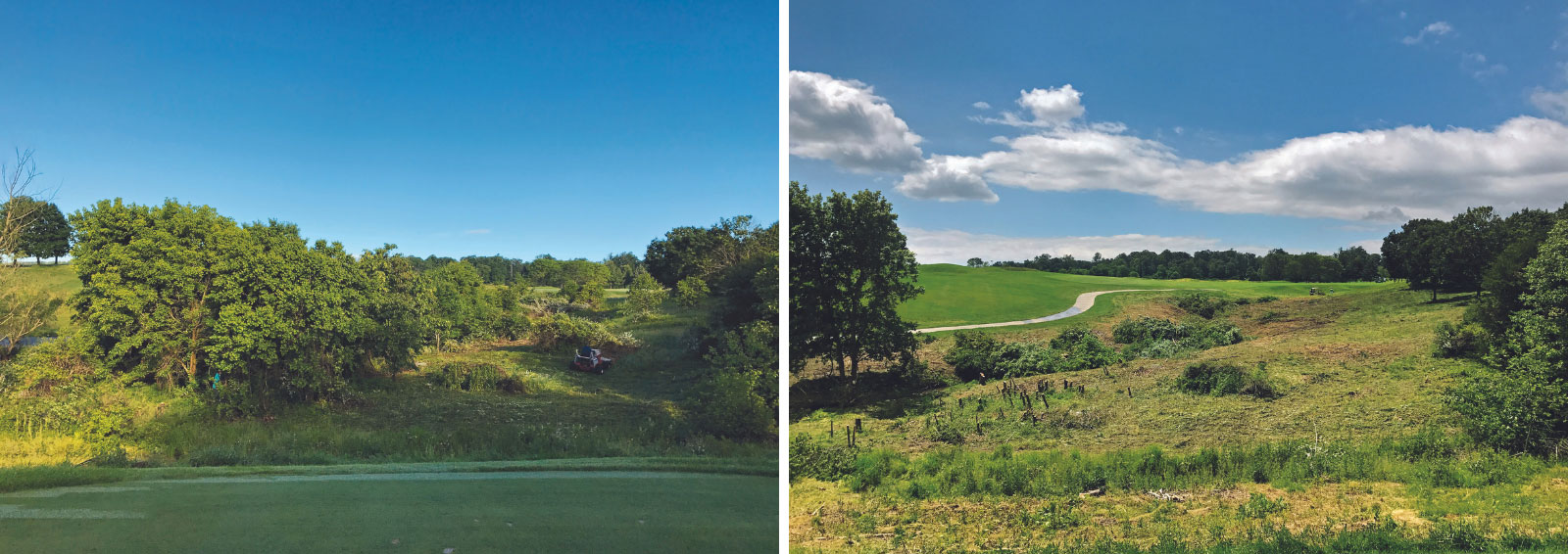 This before and after shows how overgrown trees obstructed the view and tee shots on No. 15. The trees made the lower two tees unusable. (Photo: Chris Naven)