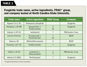Table 1