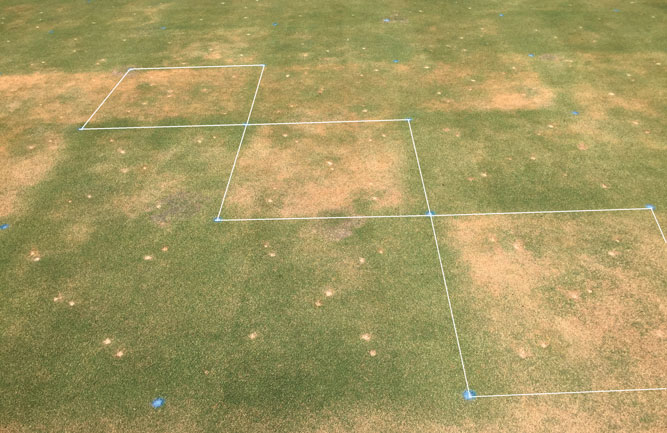 (Fig. 2) Delayed spring green-up of ultradwarf bermudagrass in untreated control plots in Fayetteville, Ark., on April 2016. (Photo: Mike Richardson, Ph.D.)