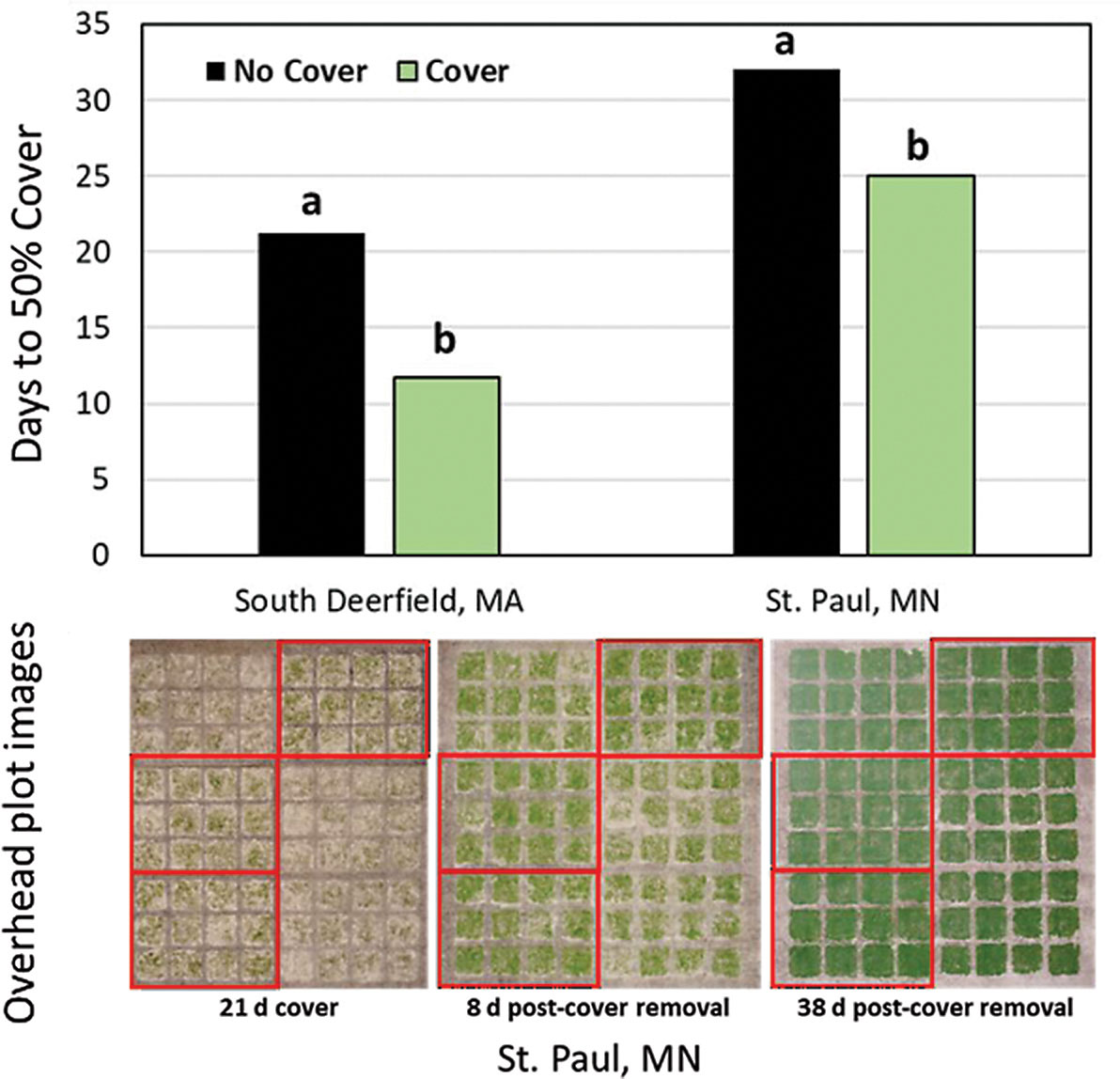 We conducted shade trial field experiments at St. Paul, Minn., in March 2021. Shade cloths provided 0, 50 percent, and 90 percent light intensity reduction. The bottom panel shows the effects of shade treatment on the seedling establishment of four creeping bentgrass cultivars, with the 90 percent shade treatment resulting in the highest turfgrass percent cover. (Photos by: Michell DaCosta)