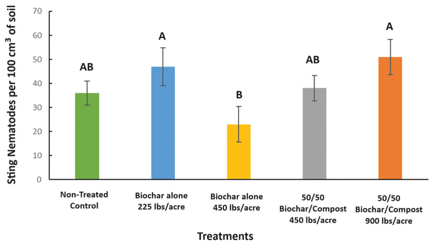 The sting nematode population in bermudagrass fairway turf as impacted by amendment topdressings from Sept. 2020 through July 2022. Treatment columns sharing the same letter are not significantly different.