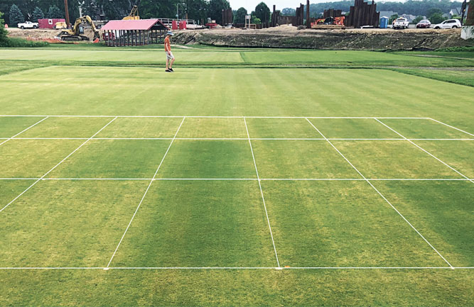 Nitrogen is the main factor controlling tissue nitrogen content in creeping bentgrass compared to weather, irrigation and foot traffic. (Photo: Qiyu Zhou and Douglas J. Soldat)