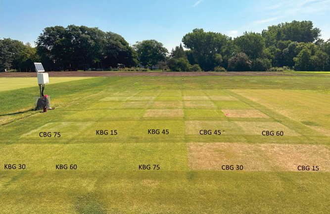 The right way to irrigate for healthy and playable fairways | Golfdom