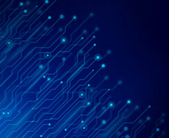 Photo: AF-studio / DigitalVision Vectors / Getty Images