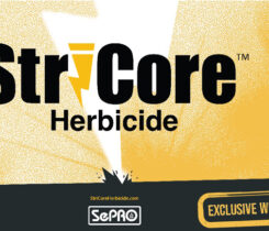 StriCore Webinar