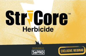 StriCore Webinar