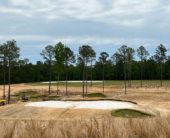 Photo: Broomsedge